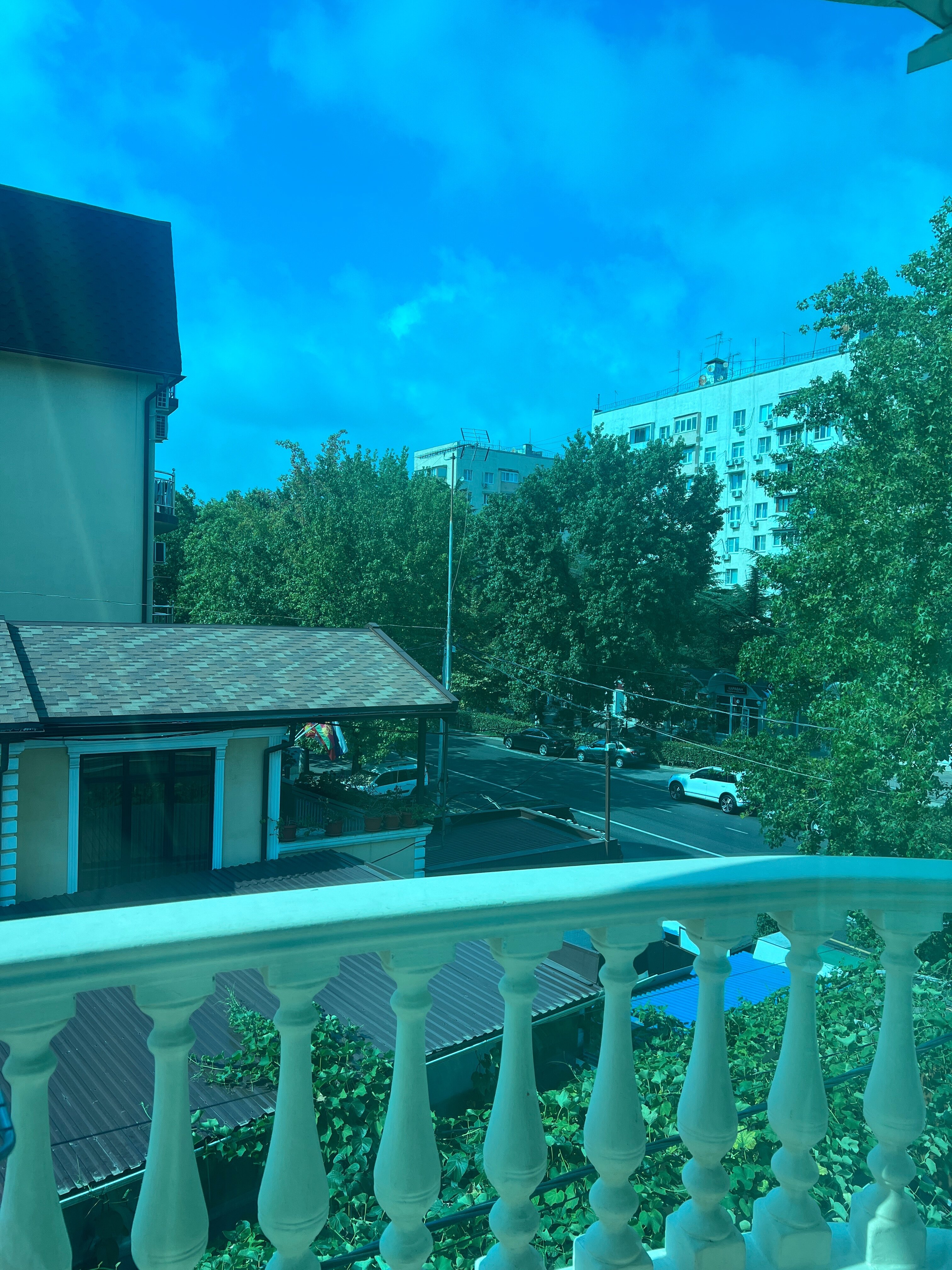 Фото Василеос