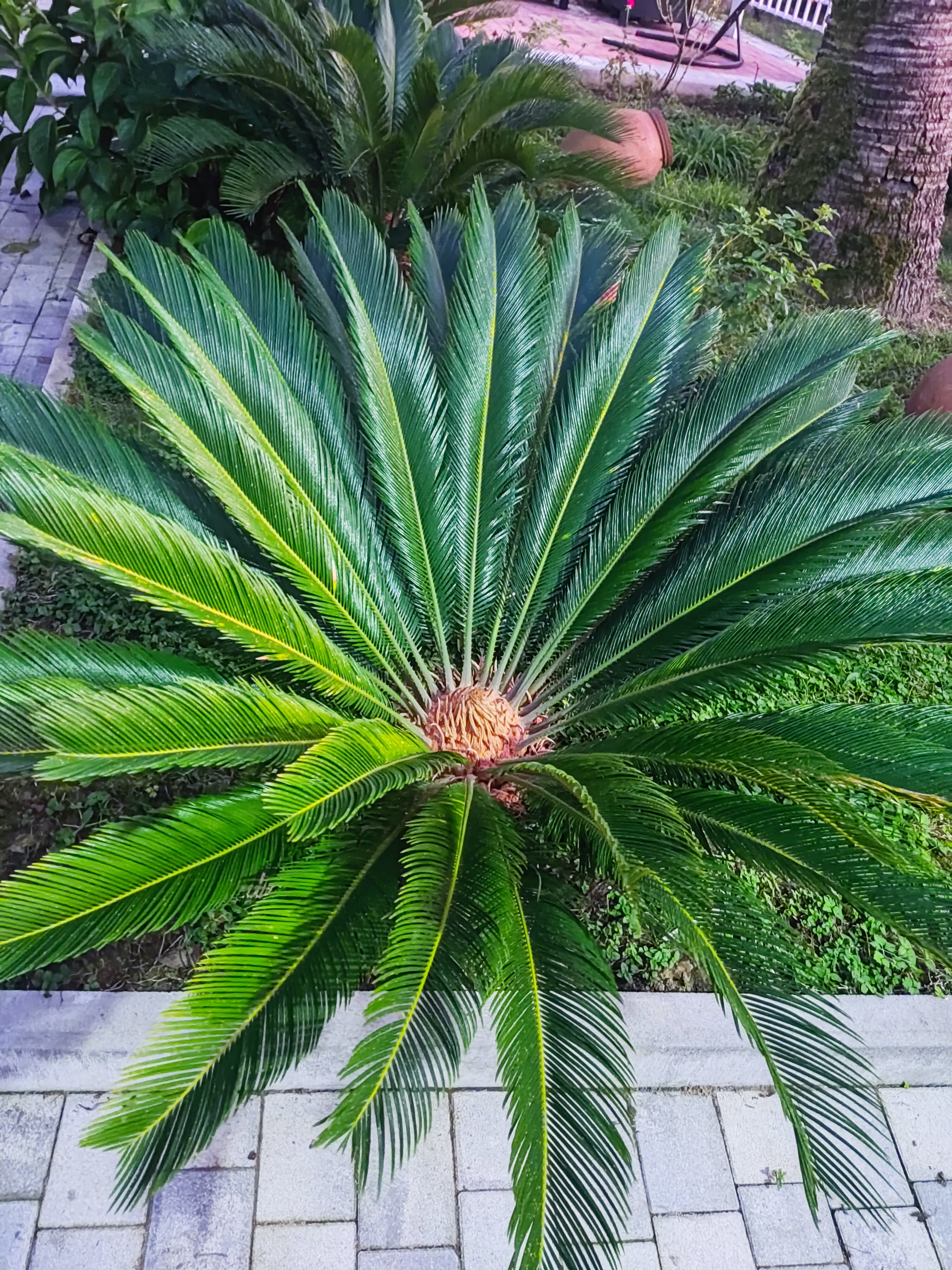 Фото Лермонтов