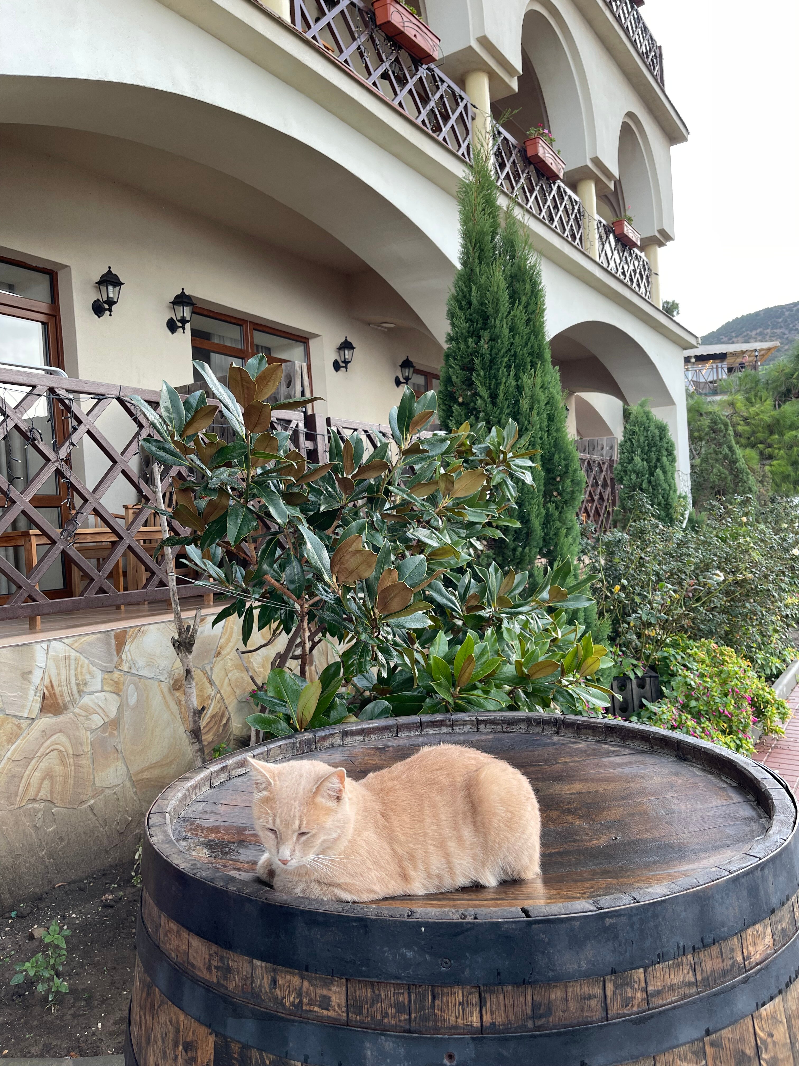 Фото Винтаж