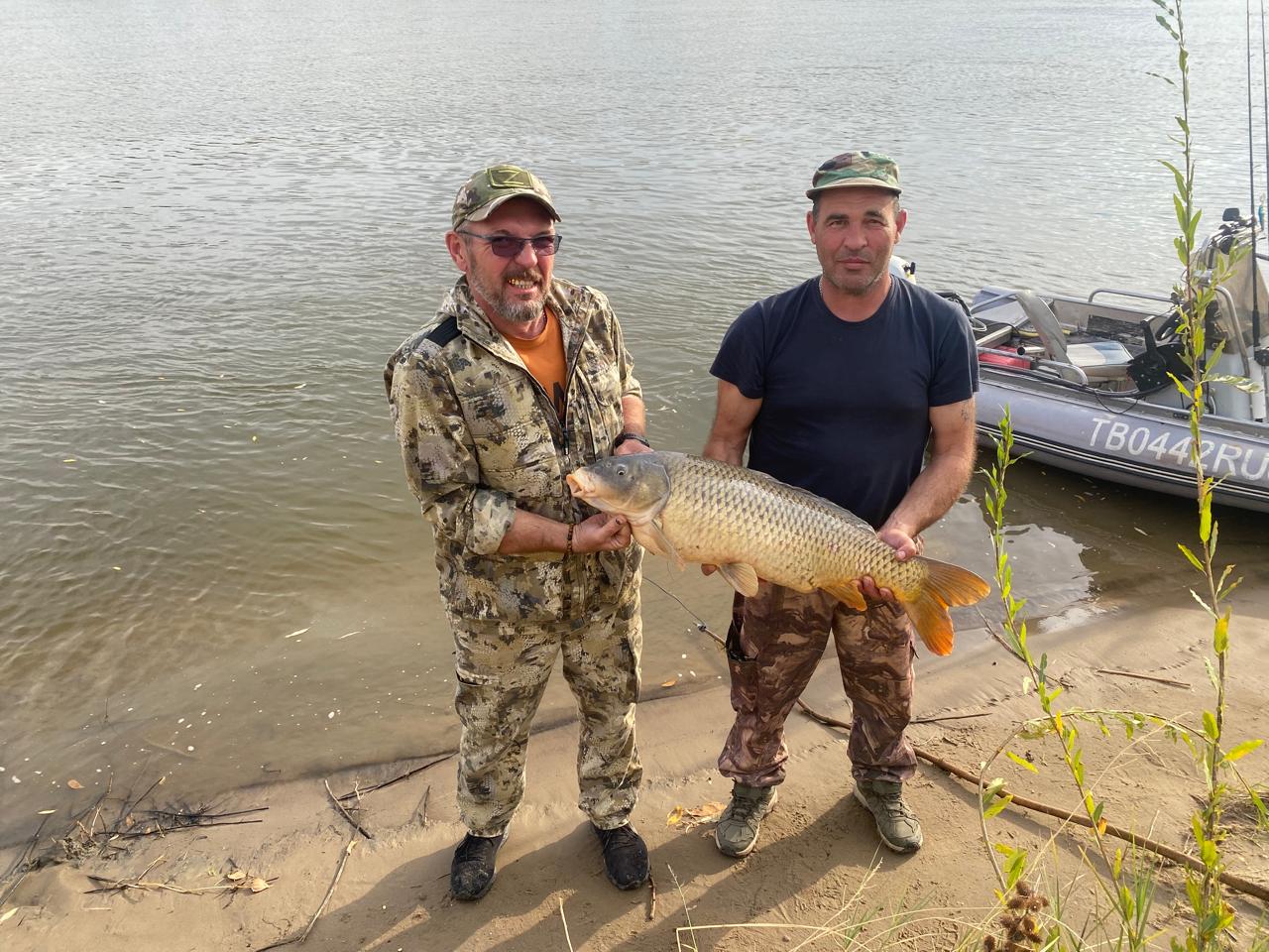 Фото База Звезда