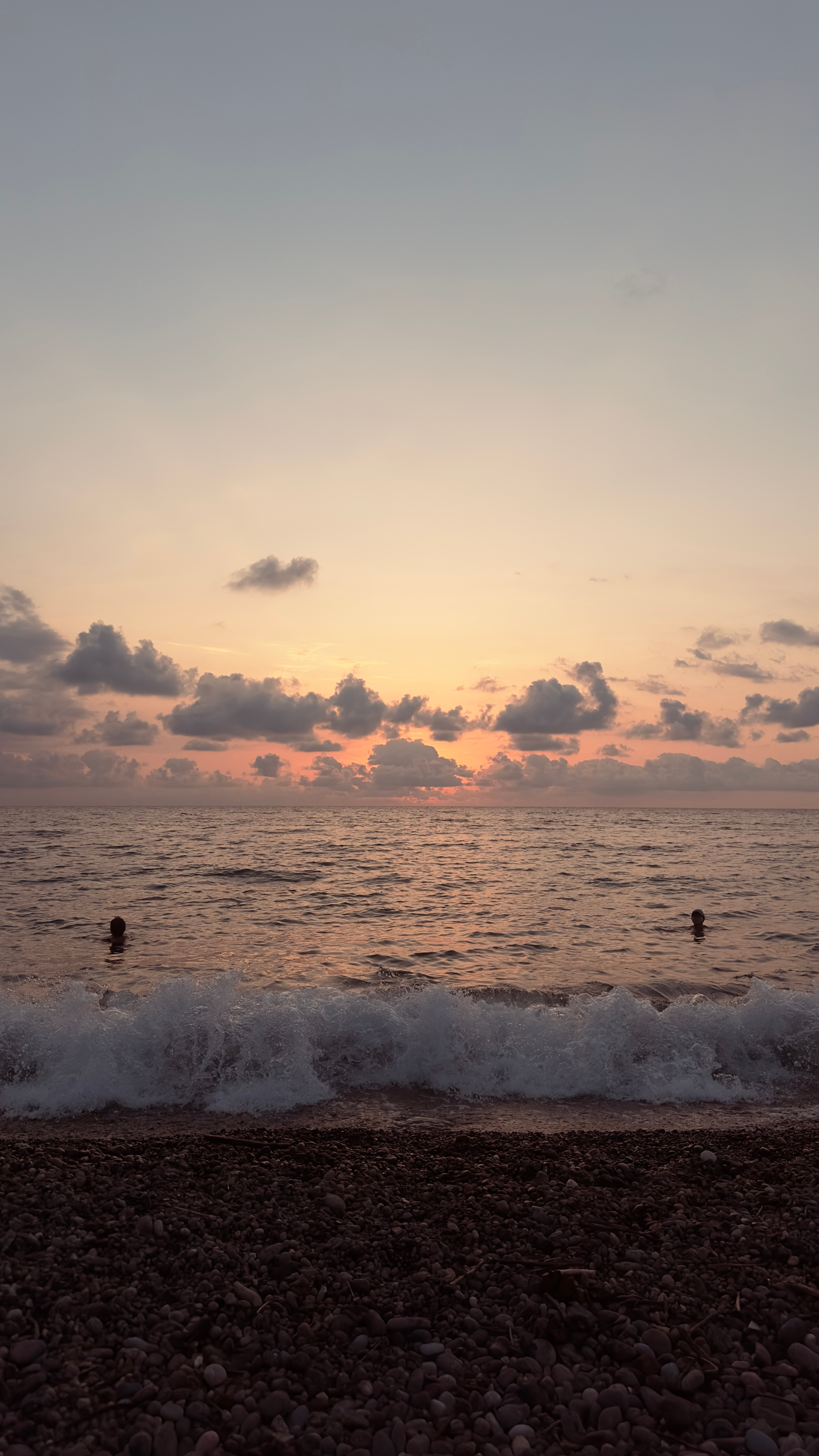 Фото Bamboo Garden