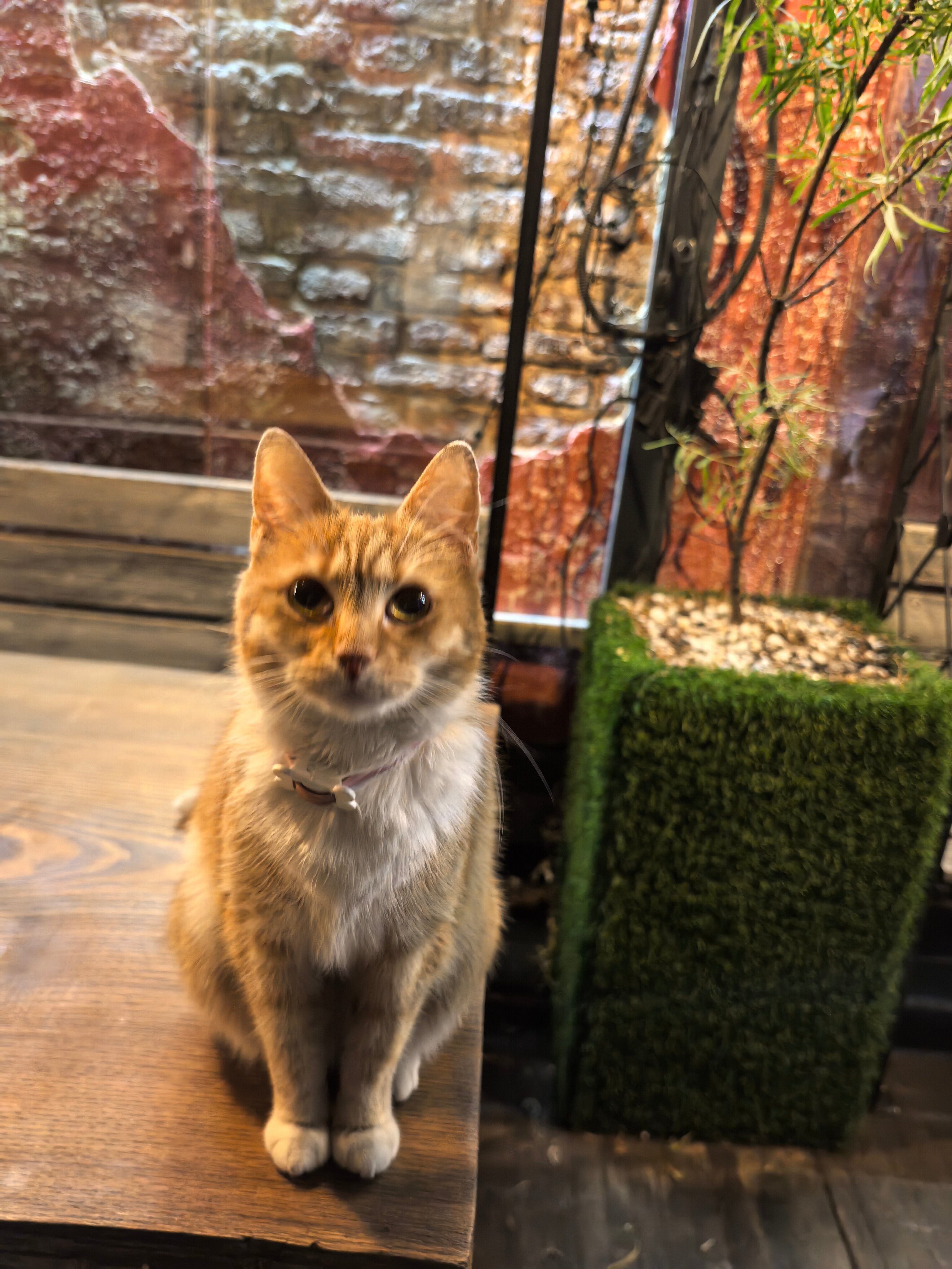 Фото Виктория