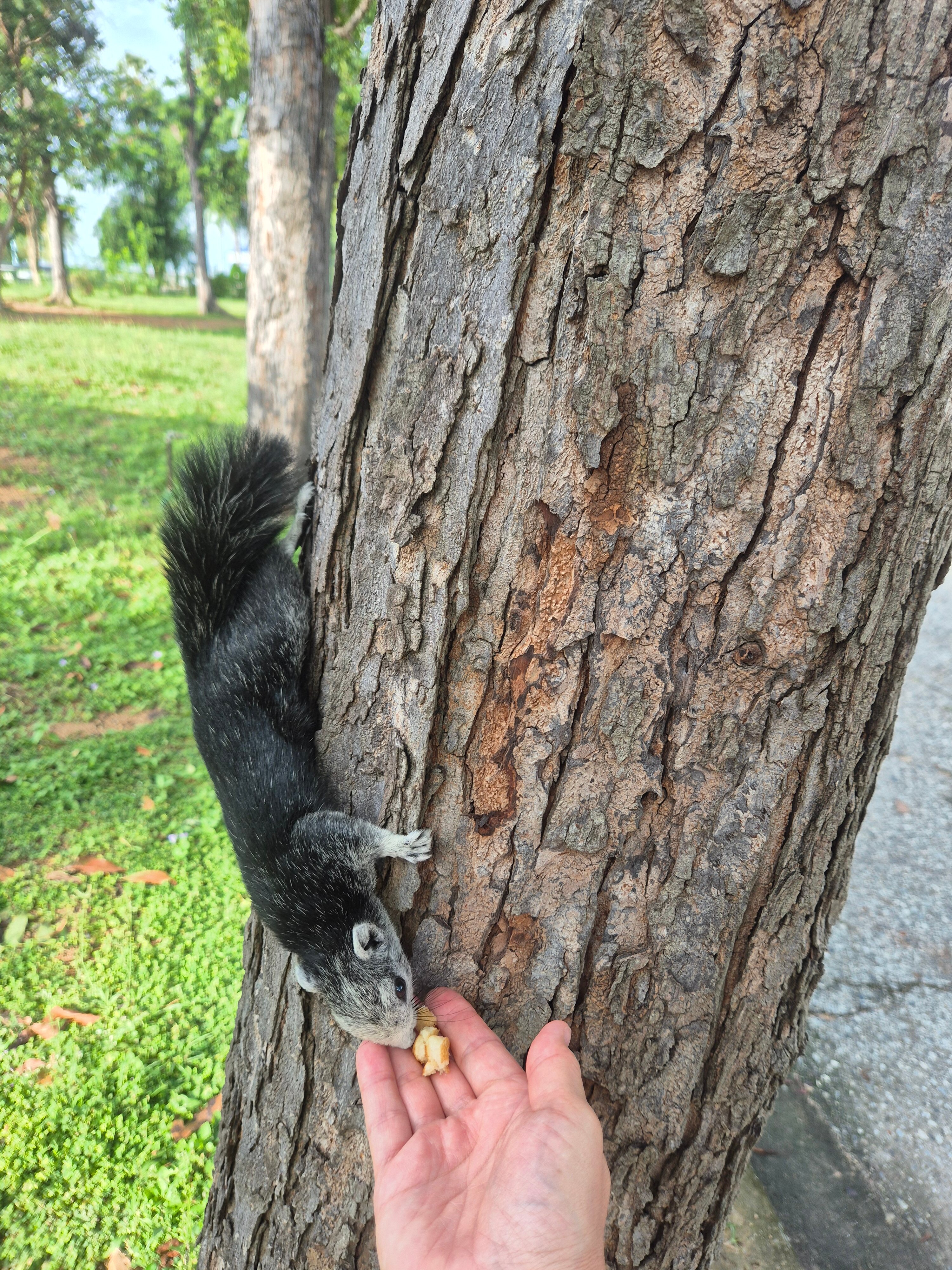 Фото Pattaya Park Beach Resort