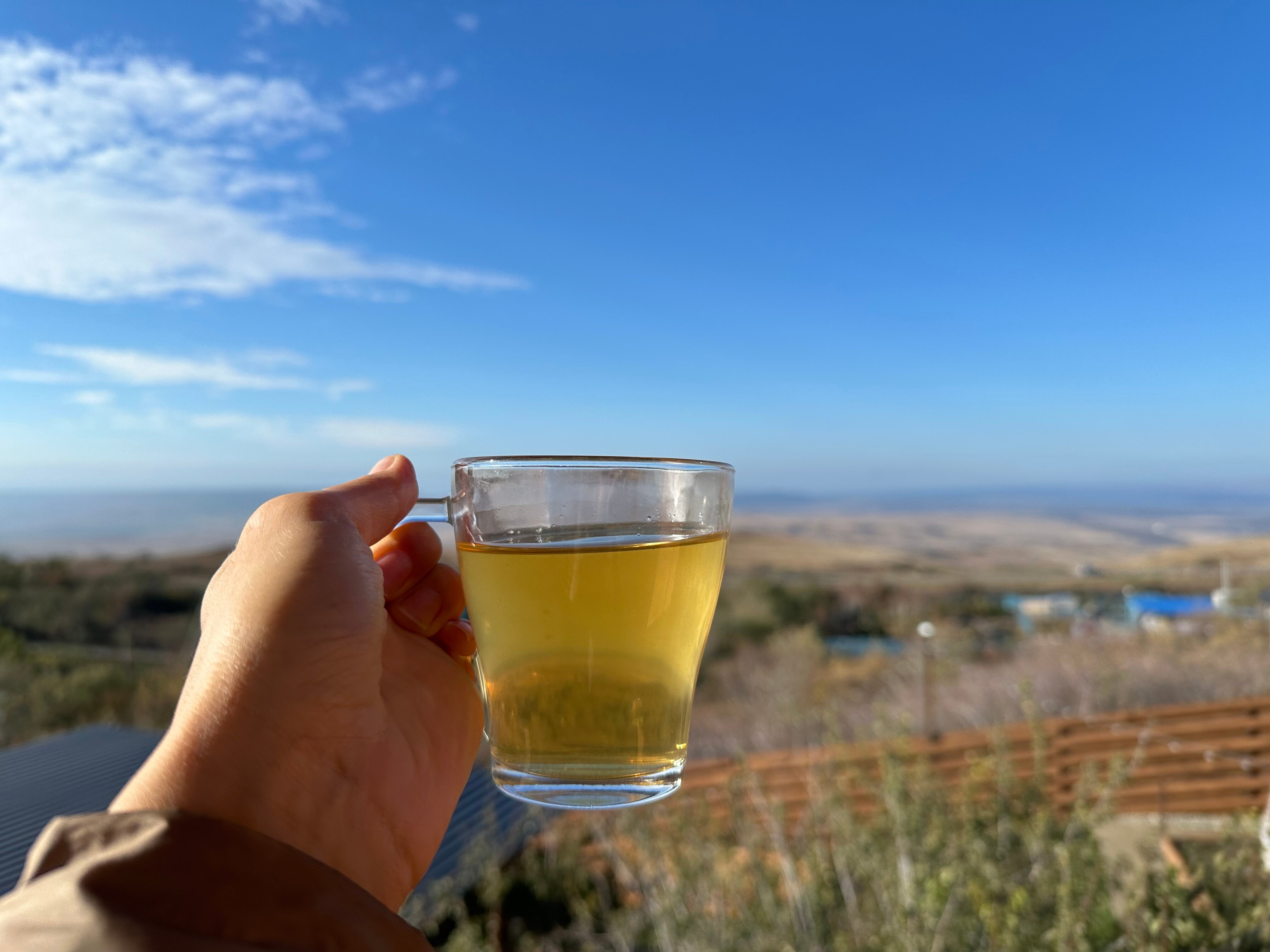 Фото Эко-пространство на заре