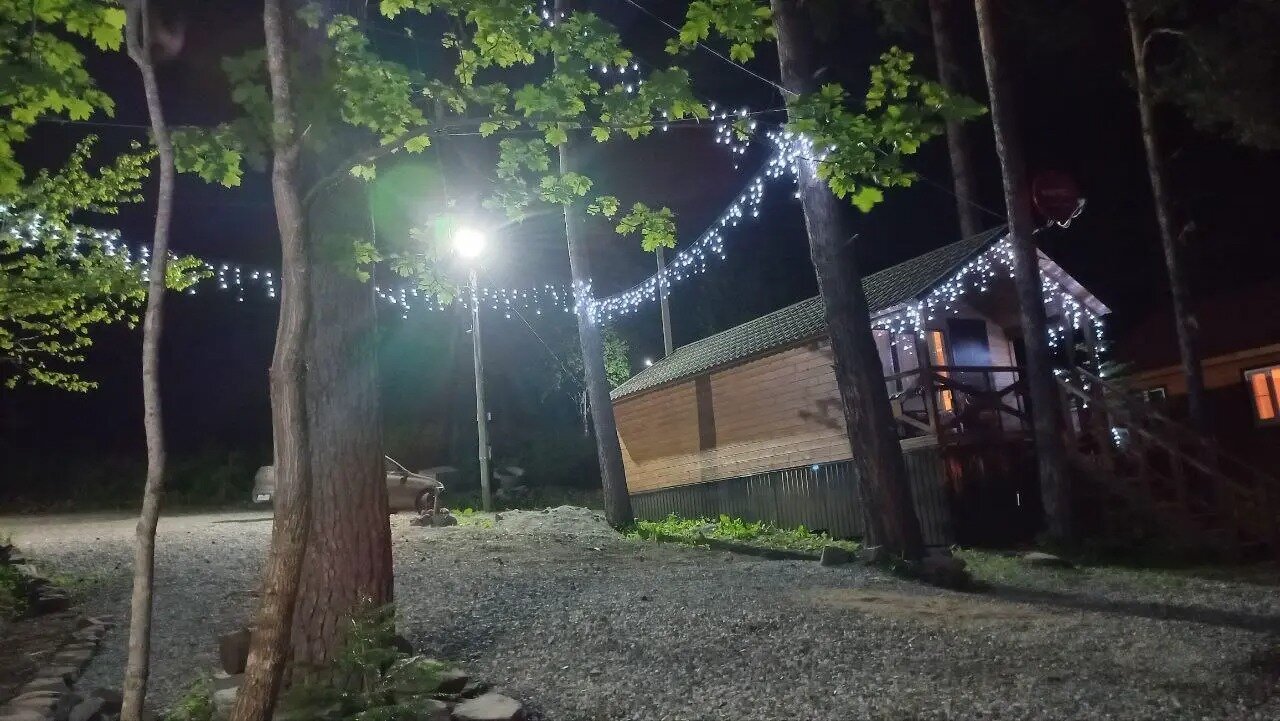 Фото Сабр