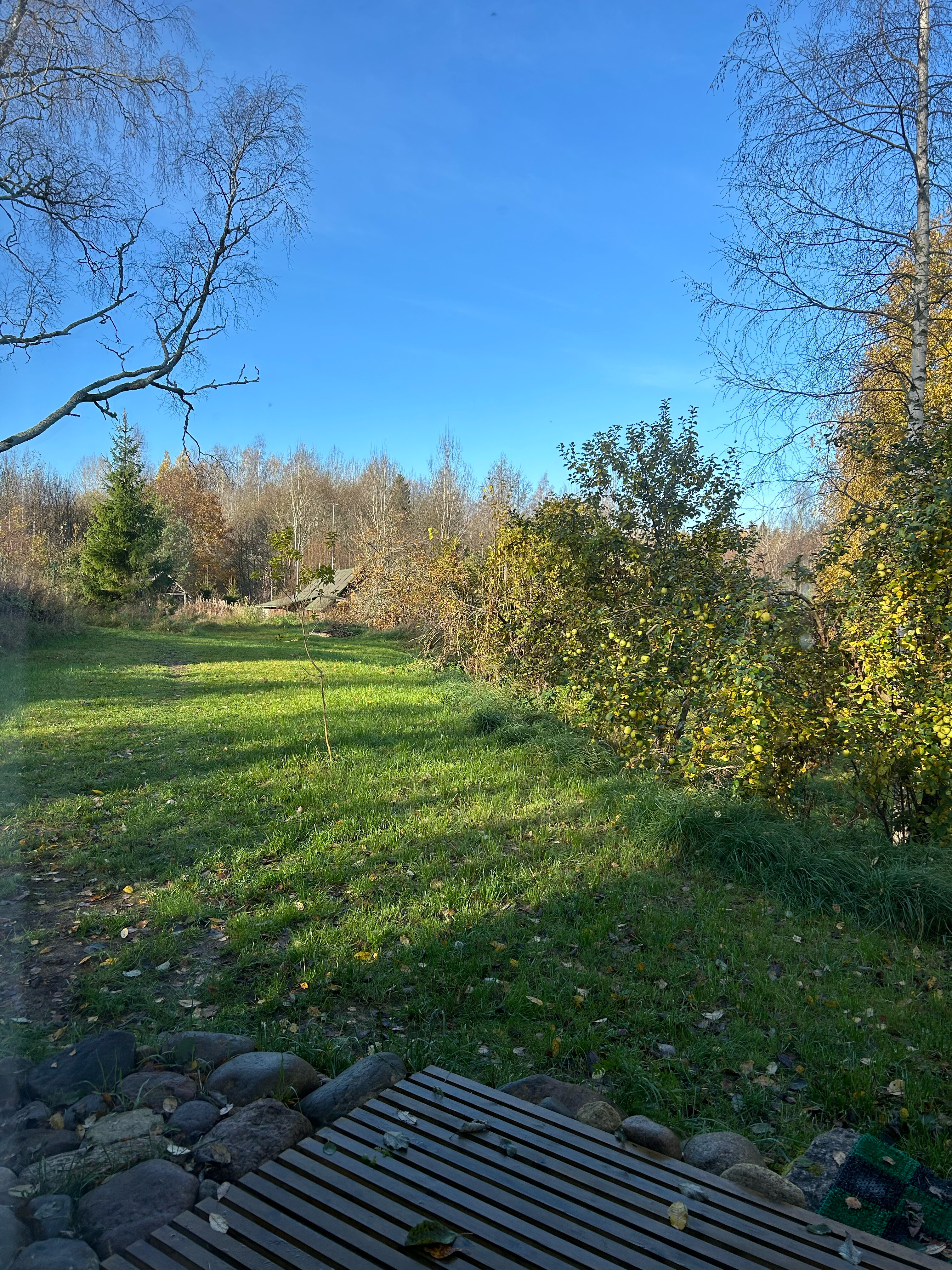 Фото Зелёный холм