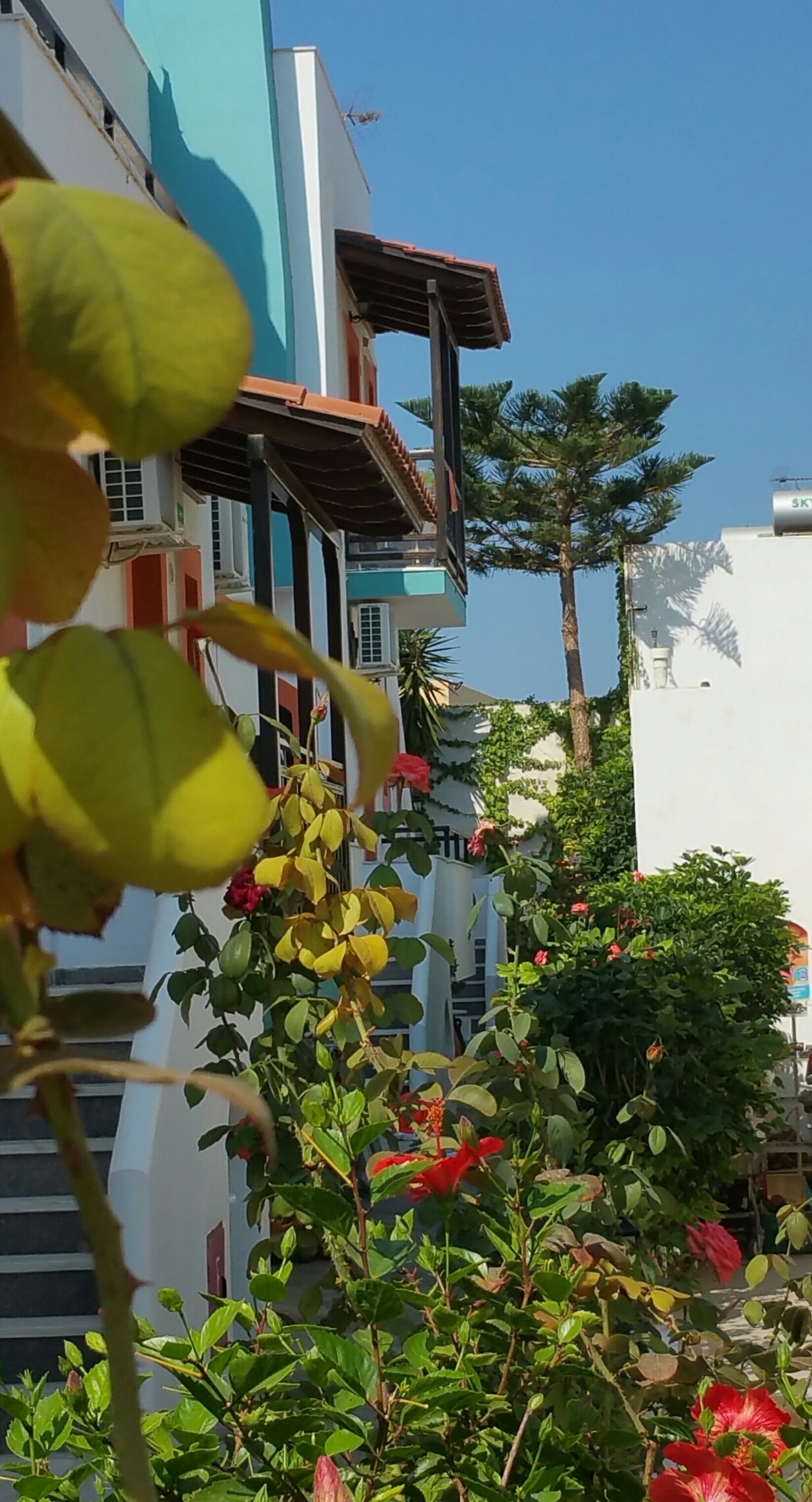 Фото Апарт-Отель Creta Mar-Gio Apts