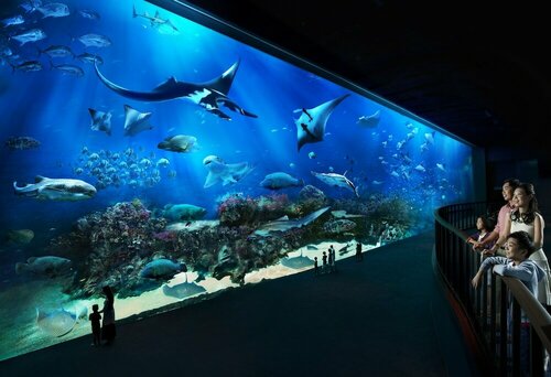 Гостиница Resorts World Sentosa - Hotel Ora в Сингапуре