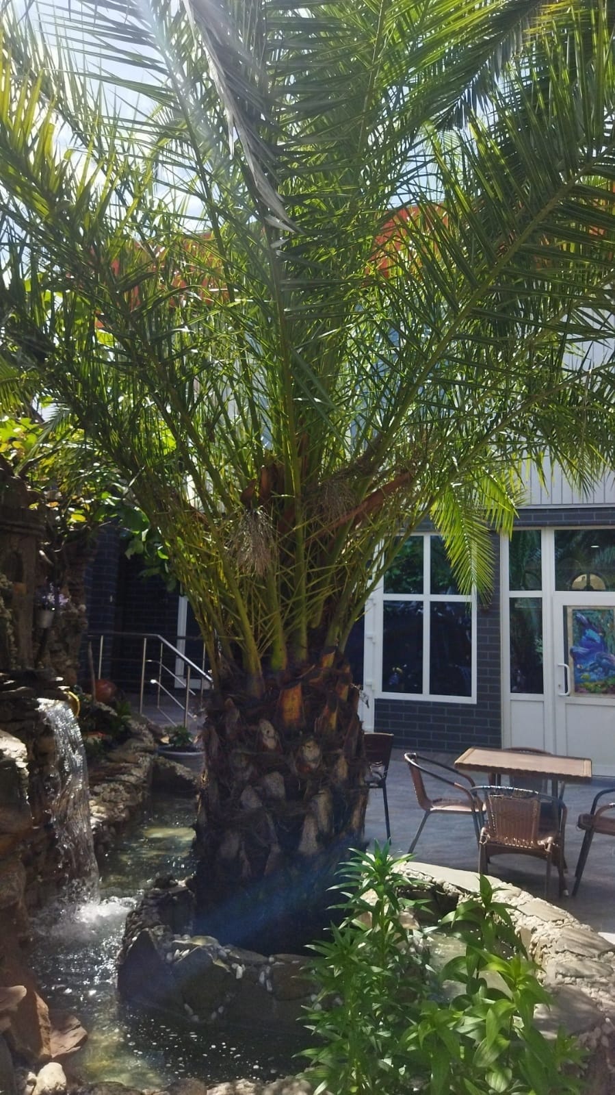 Фото Белый Орёл