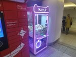 Doll Park (Avtozavodskaya Street, 18), slot machine