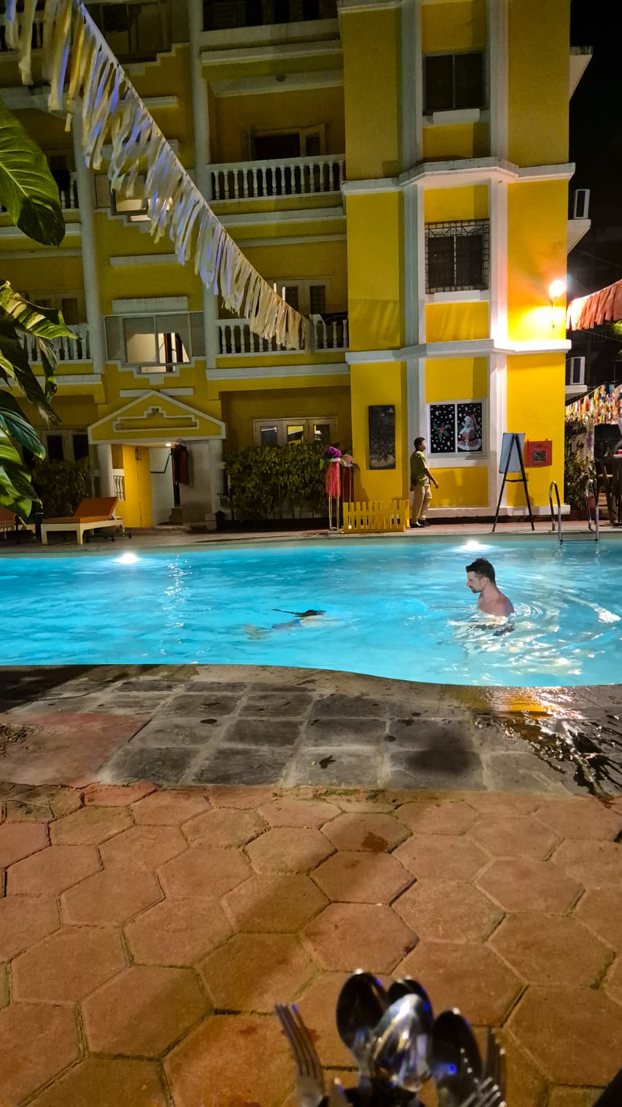 Фото Adamo The Bellus