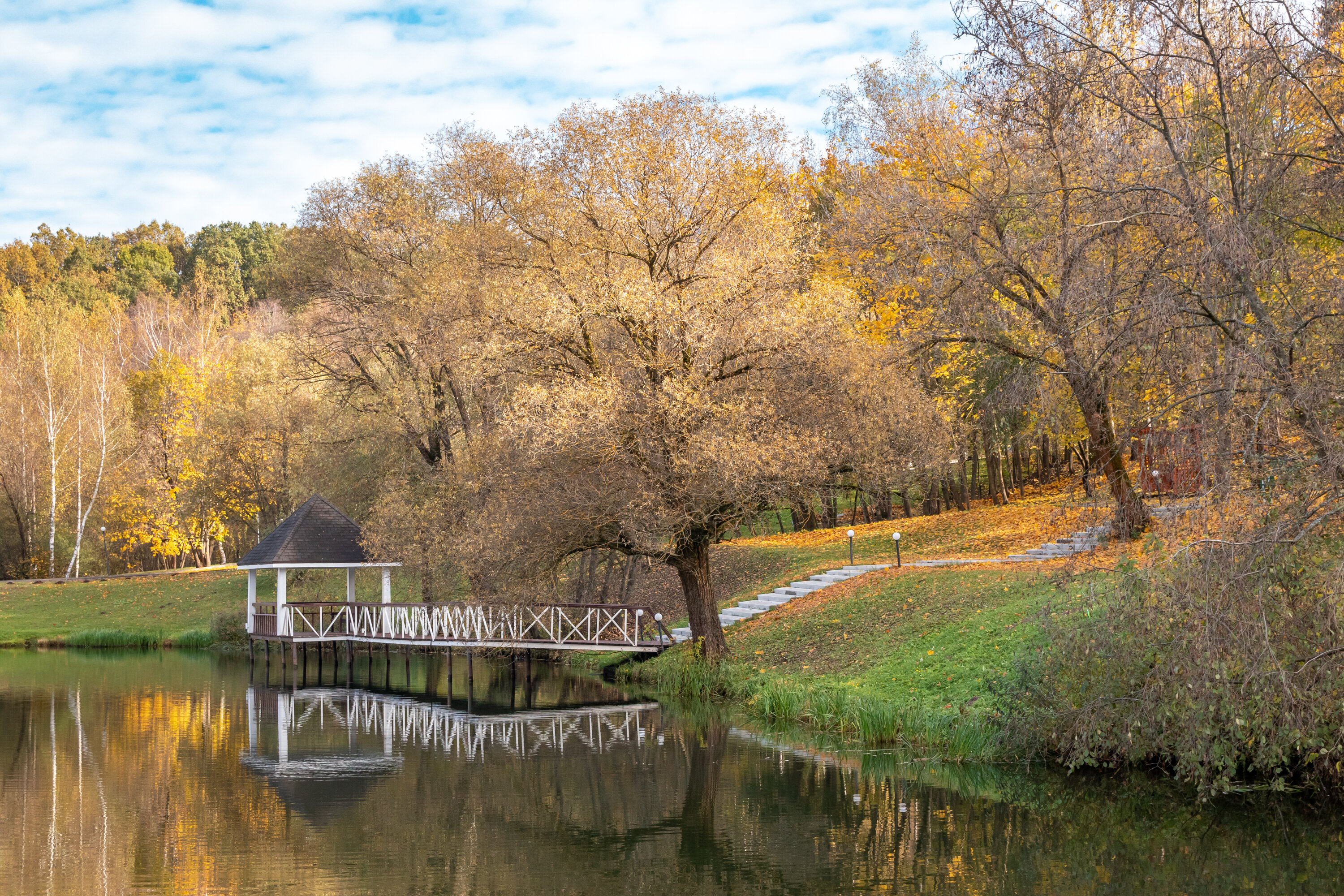 Фото Планерное