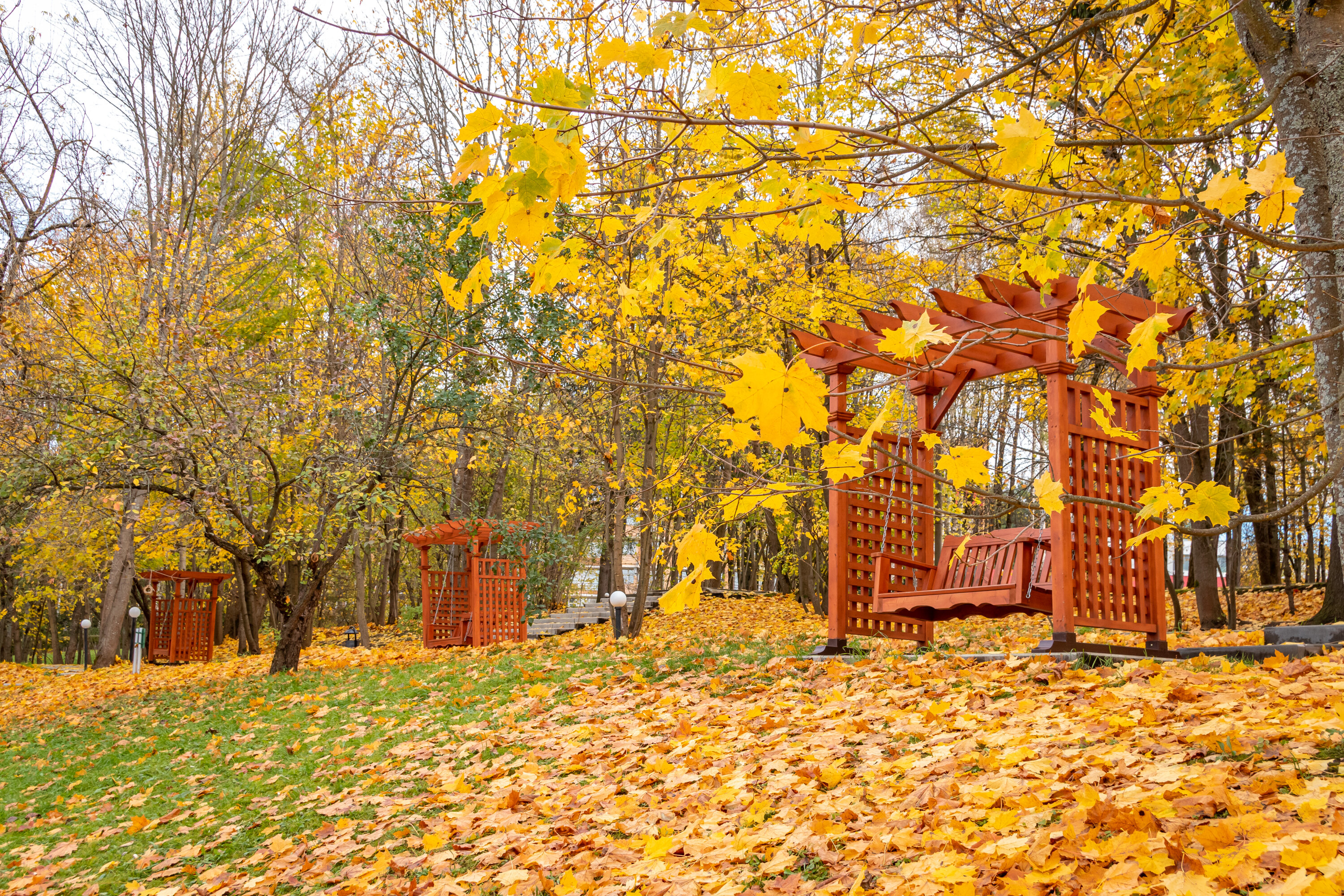 Фото Планерное