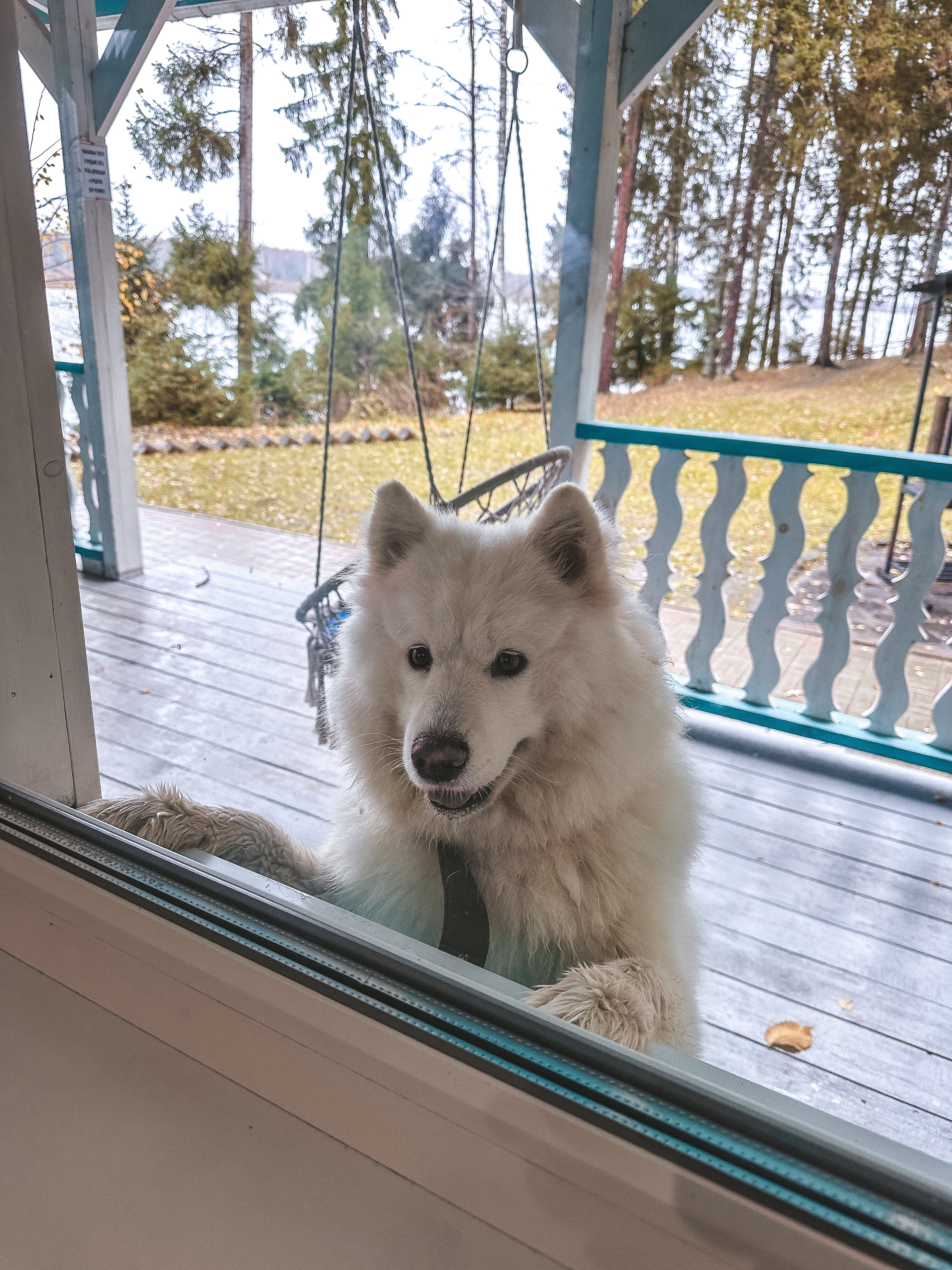 Фото Волжский сон
