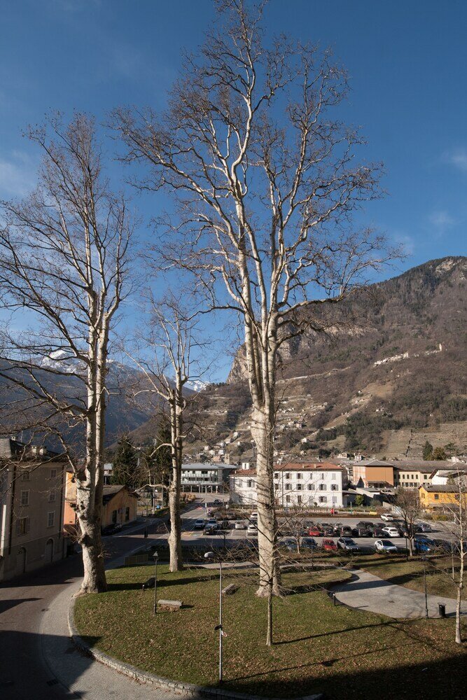 Фото Hotel Crimea