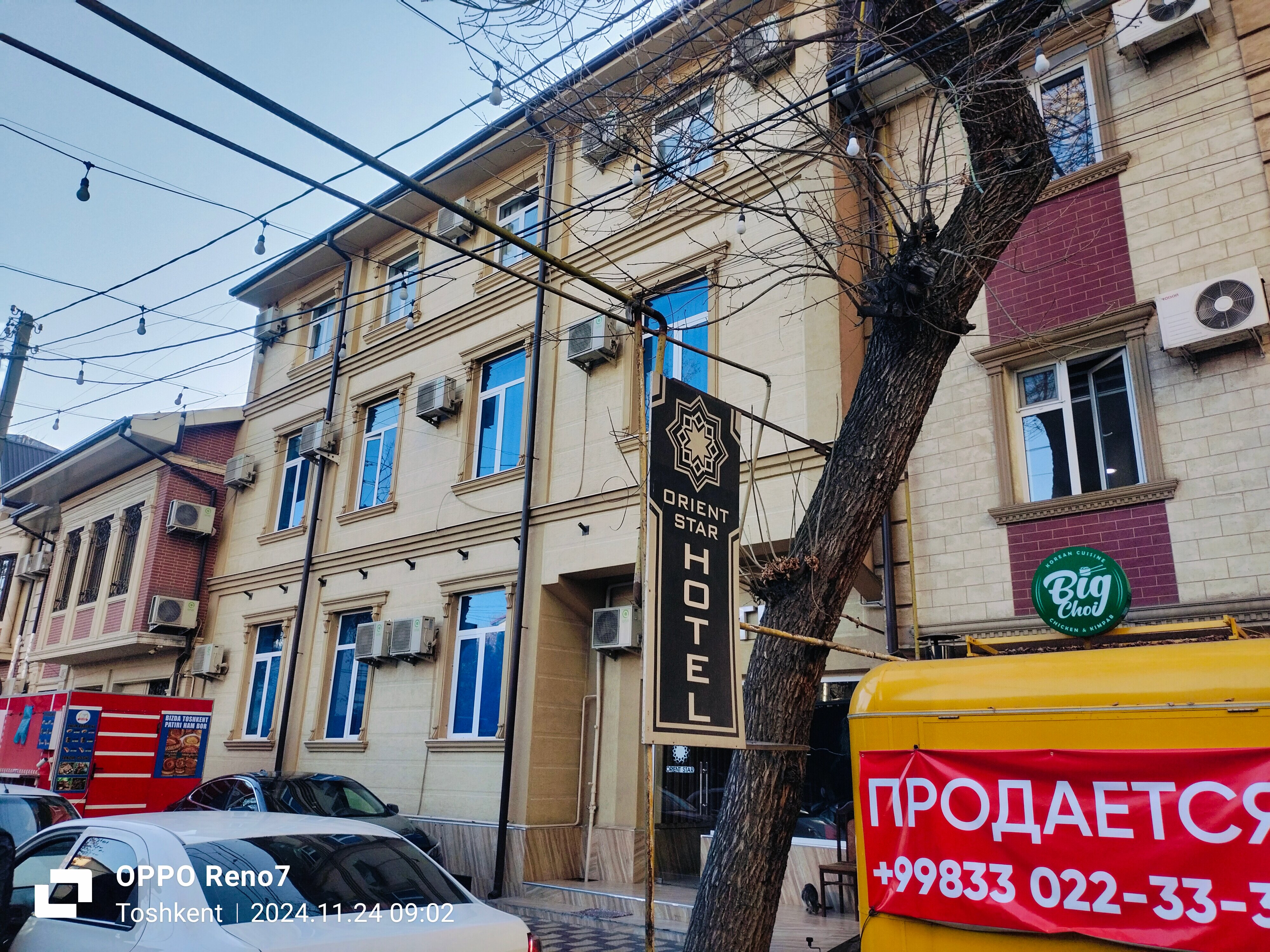 Фото Orient Star