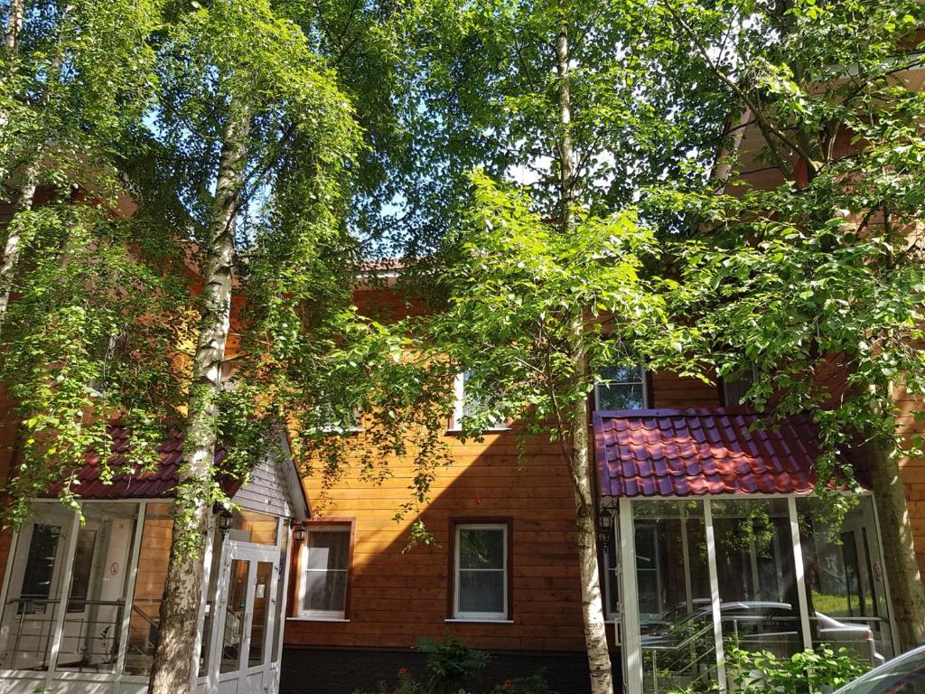 Фото Медведь