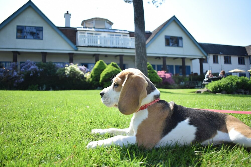 Фото The Knoll House