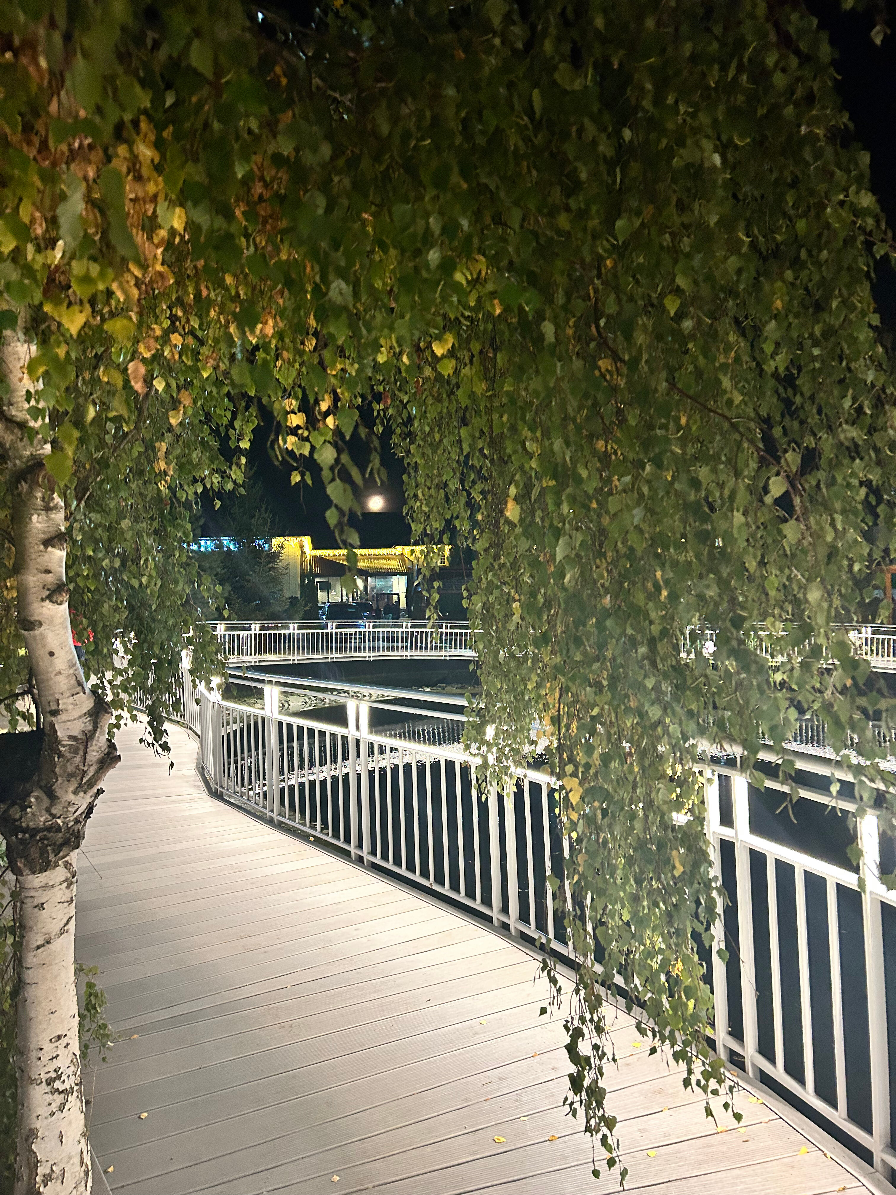 Фото Парк-отель История