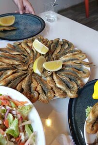 Atakan Yalcin Fish Farming (Zonguldak, Kozlu, Merkez Mah.), restaurant