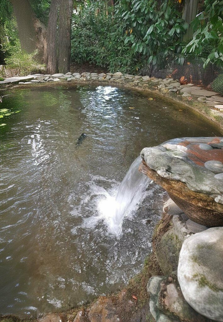 Fish and seafood Irmak Alabalık, Kartepe, photo