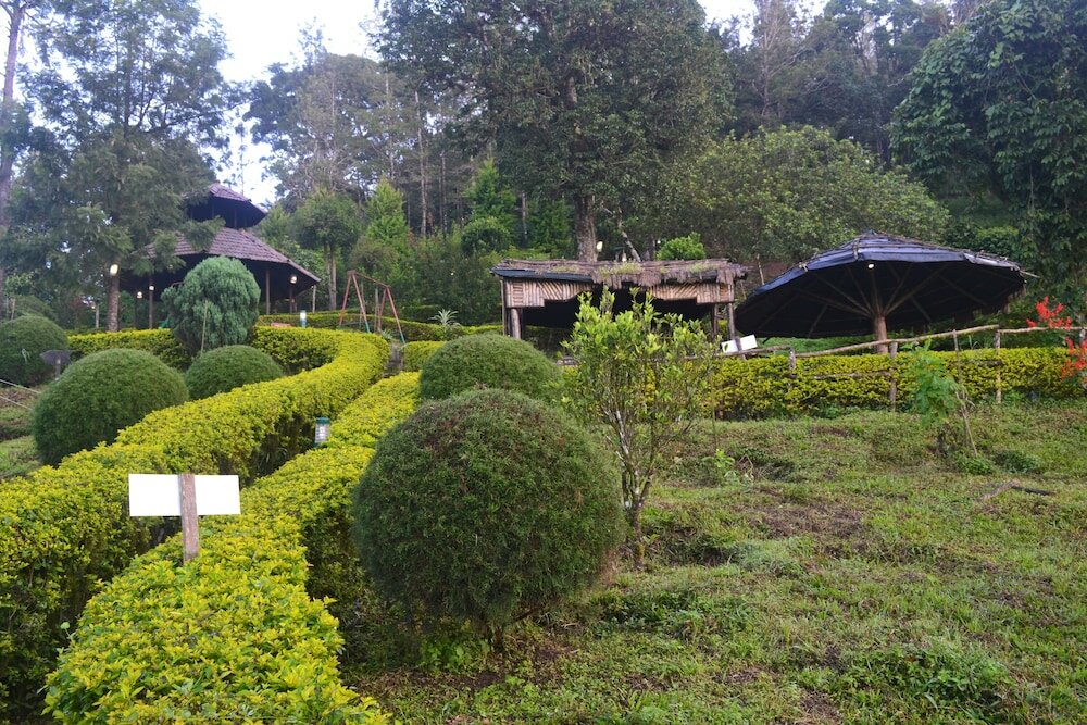 Фото Nature Zone Jungle Resort