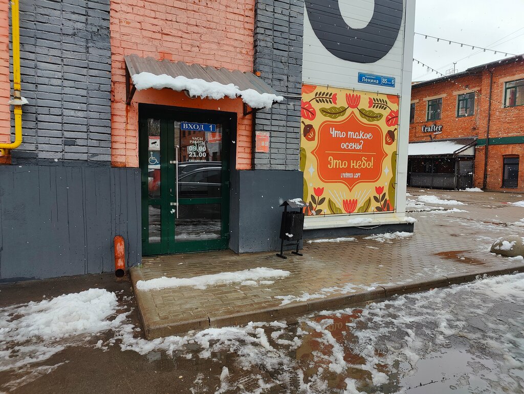 Toilet Туалет, Tula, photo