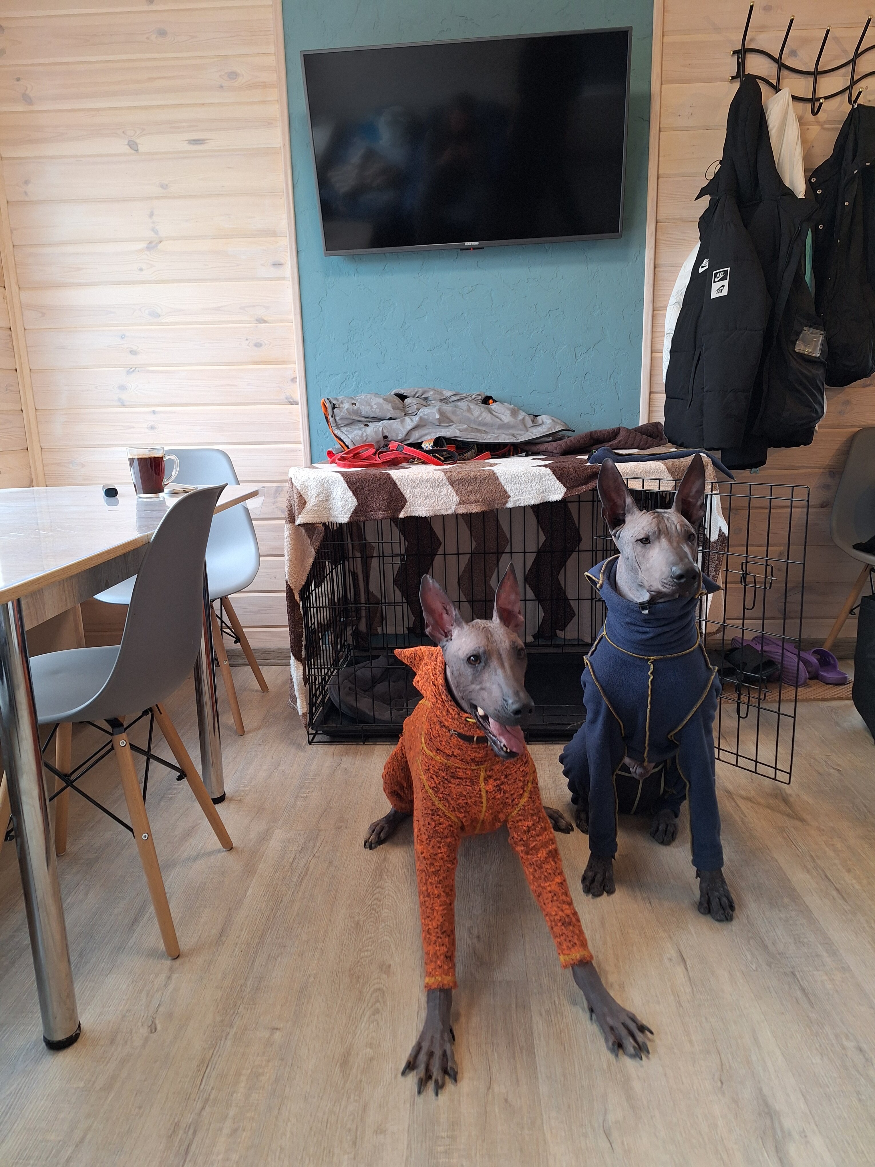 Фото Экодом