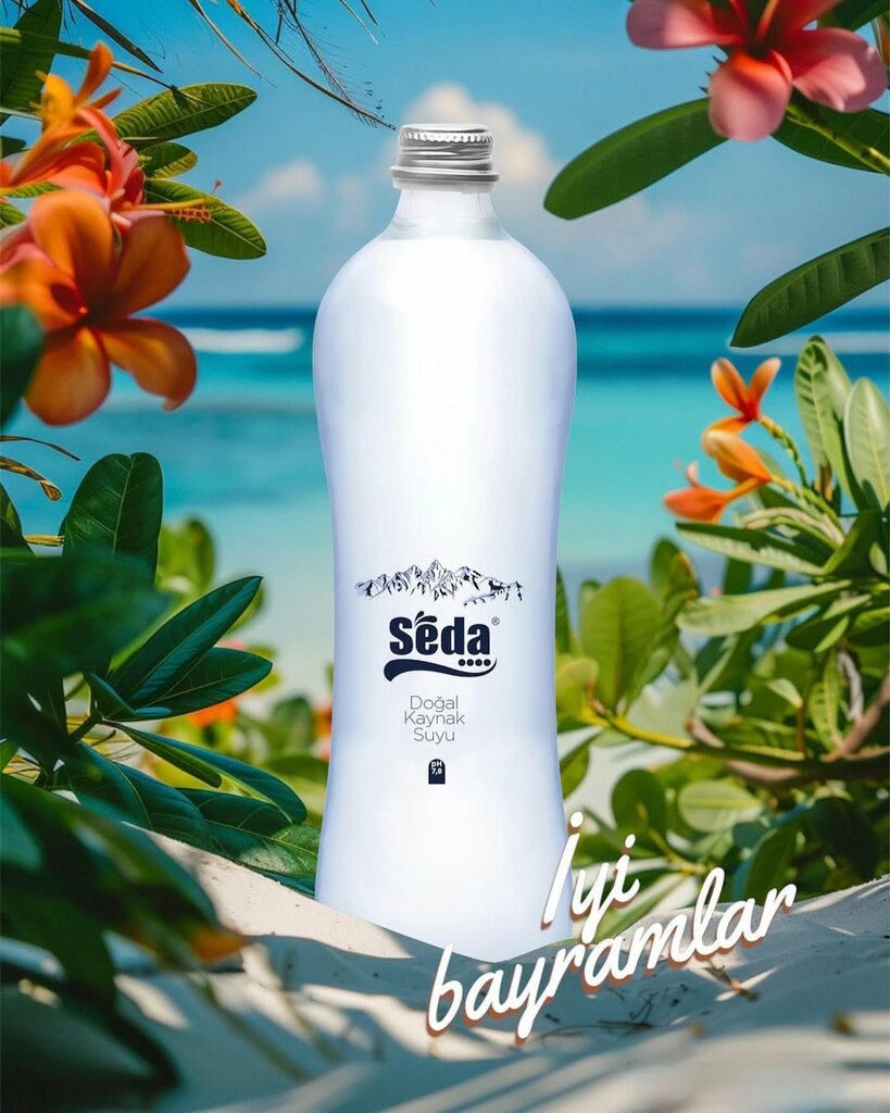 Non-alcoholic beverages Seda Water, Gumusova, photo