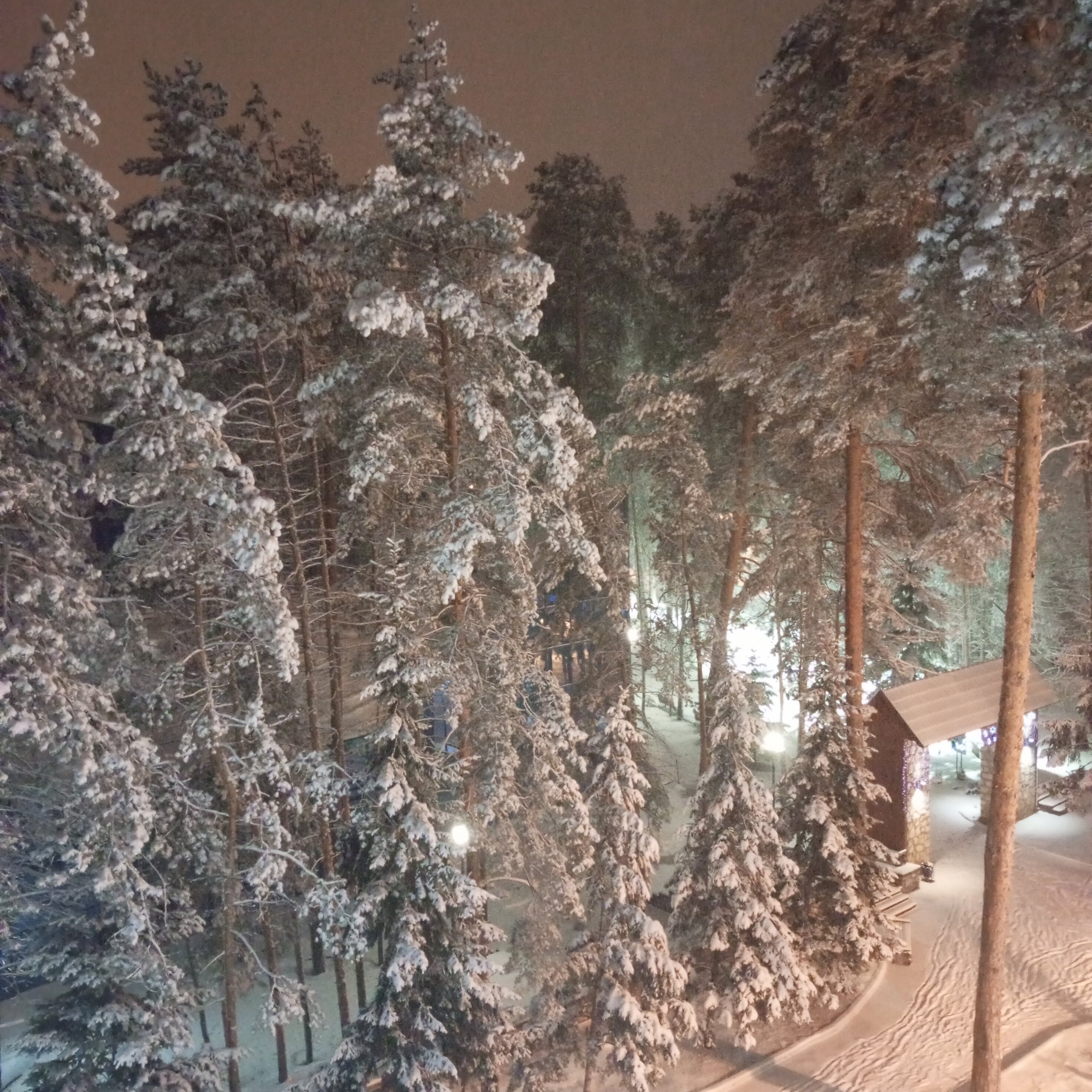 Фото Надежда