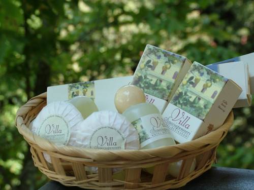 Фото Hotel Villa Scacciapensieri