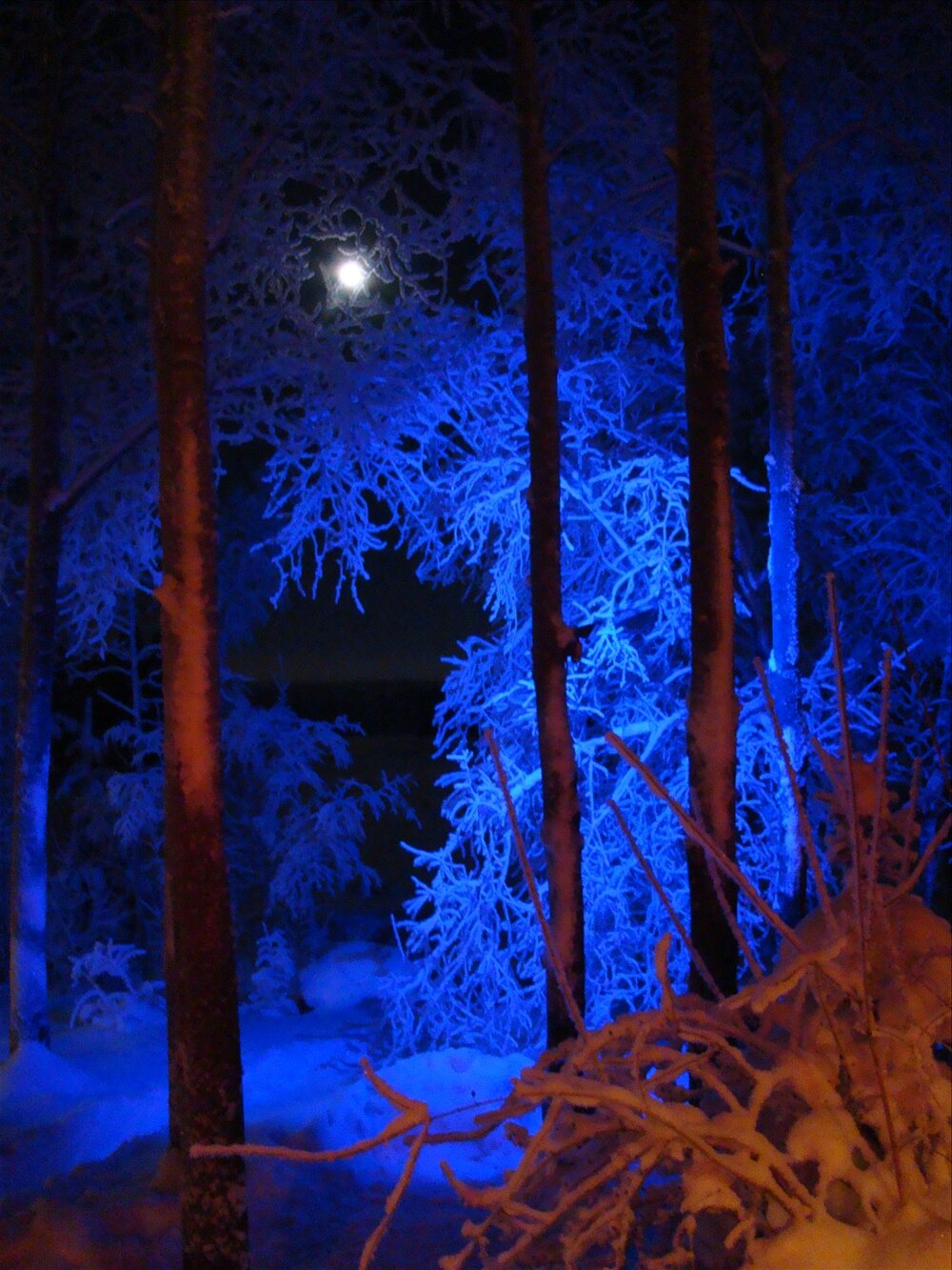 Фото Коттедж Рябиновка