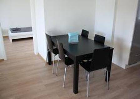 Фото HITrental Letzigrund - Apartment