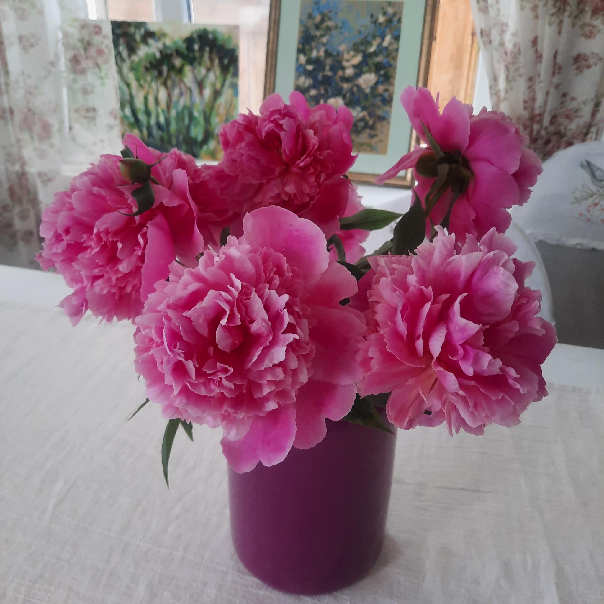 Фото Вишнёвый сад