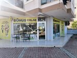Bonus Real Estate (Antalya, Kepez District, Yavuz Sultan Selim Avenue, 17B), real estate agency