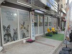 Ozel Dogus Vet Veteriner Klinigi (İzmir, Balçova, Onur Mah., Akasya Sok., 4A) ، عيادة بيطرية