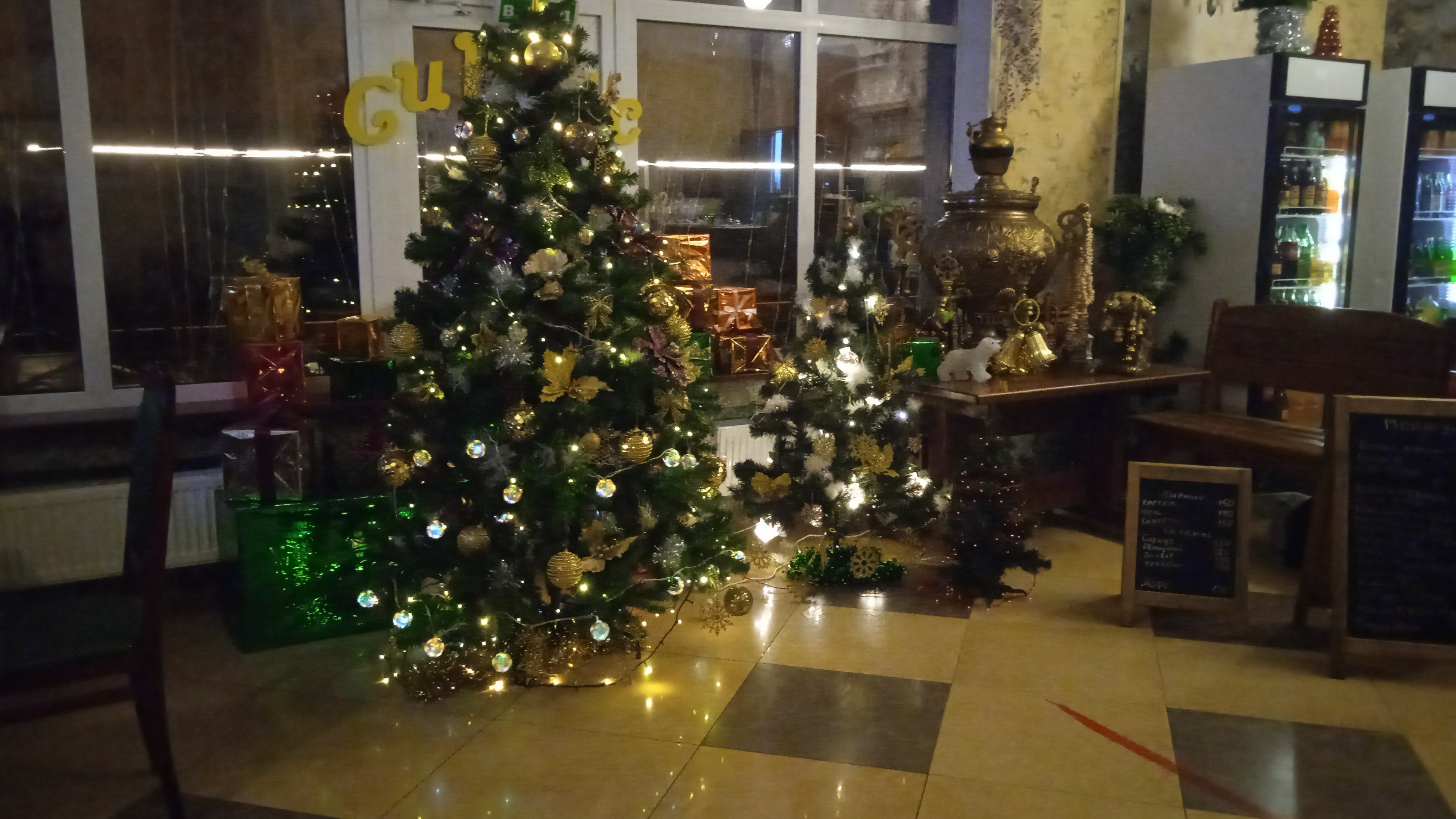 Фото Сириус