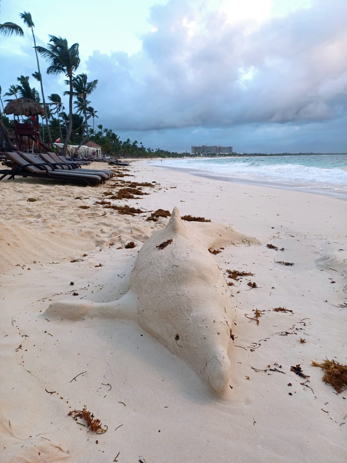 Фото Riu Republica - Adults only - All Inclusive