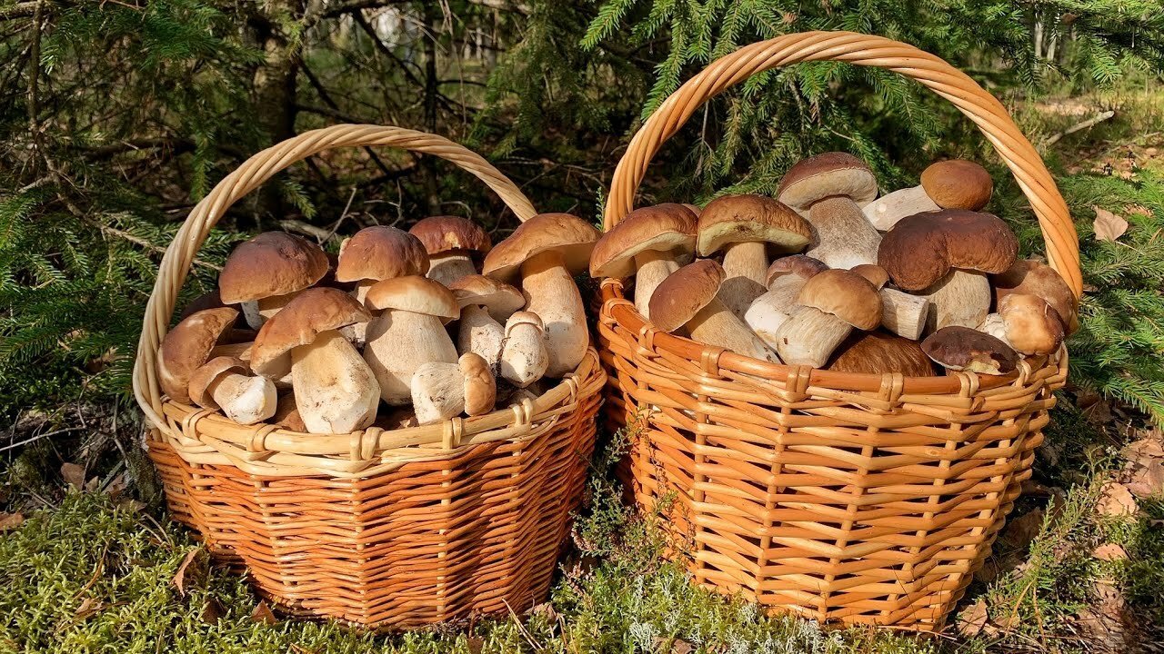 Фото Перекат