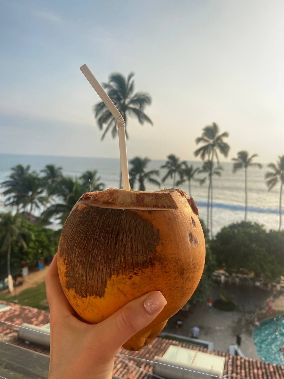 Фото Citrus Hikkaduwa