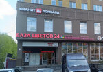 Fianit (Gagarina Avenue, 212А), pawnshop