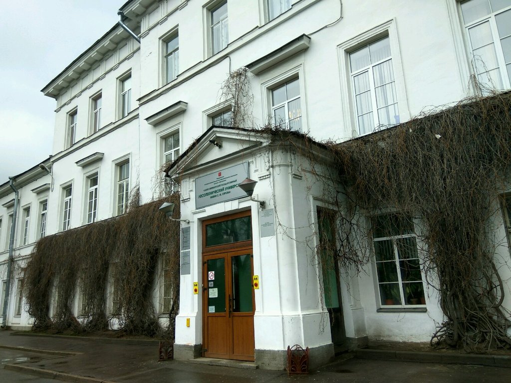 Лесотехническая академия санкт петербург