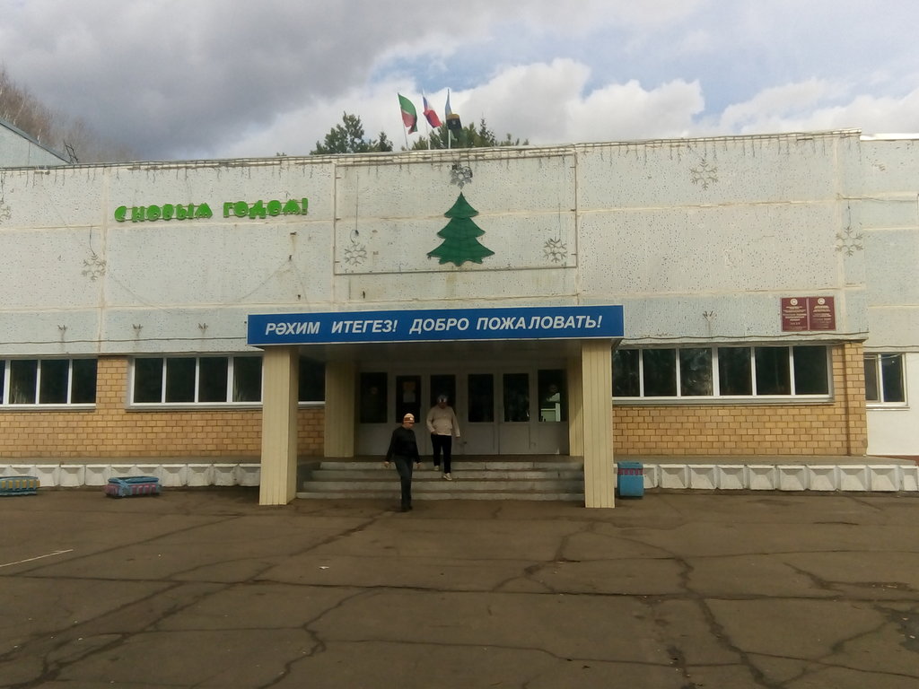 38 Лицей нижнекамск карта