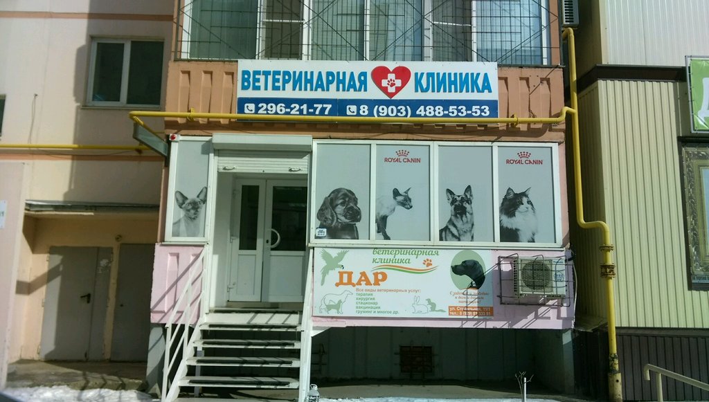 Карта ветеринарной клиники