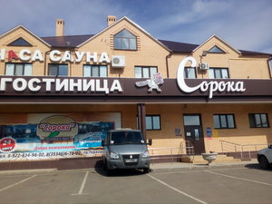 Сорока