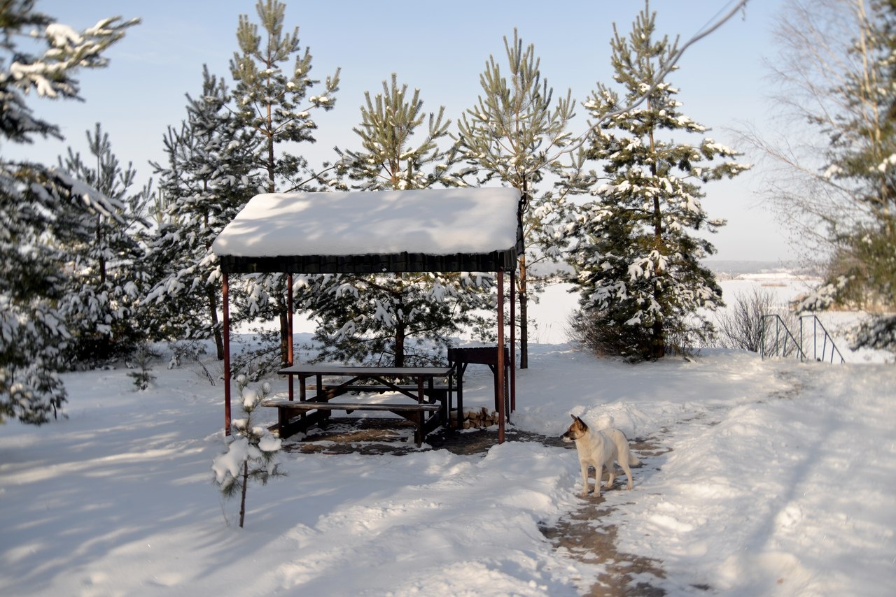 Фото Песчаный