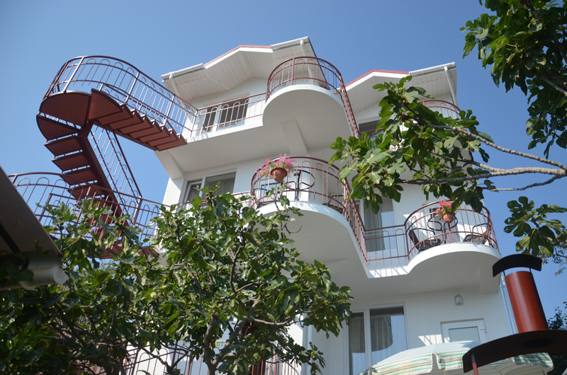 Фото Парусник