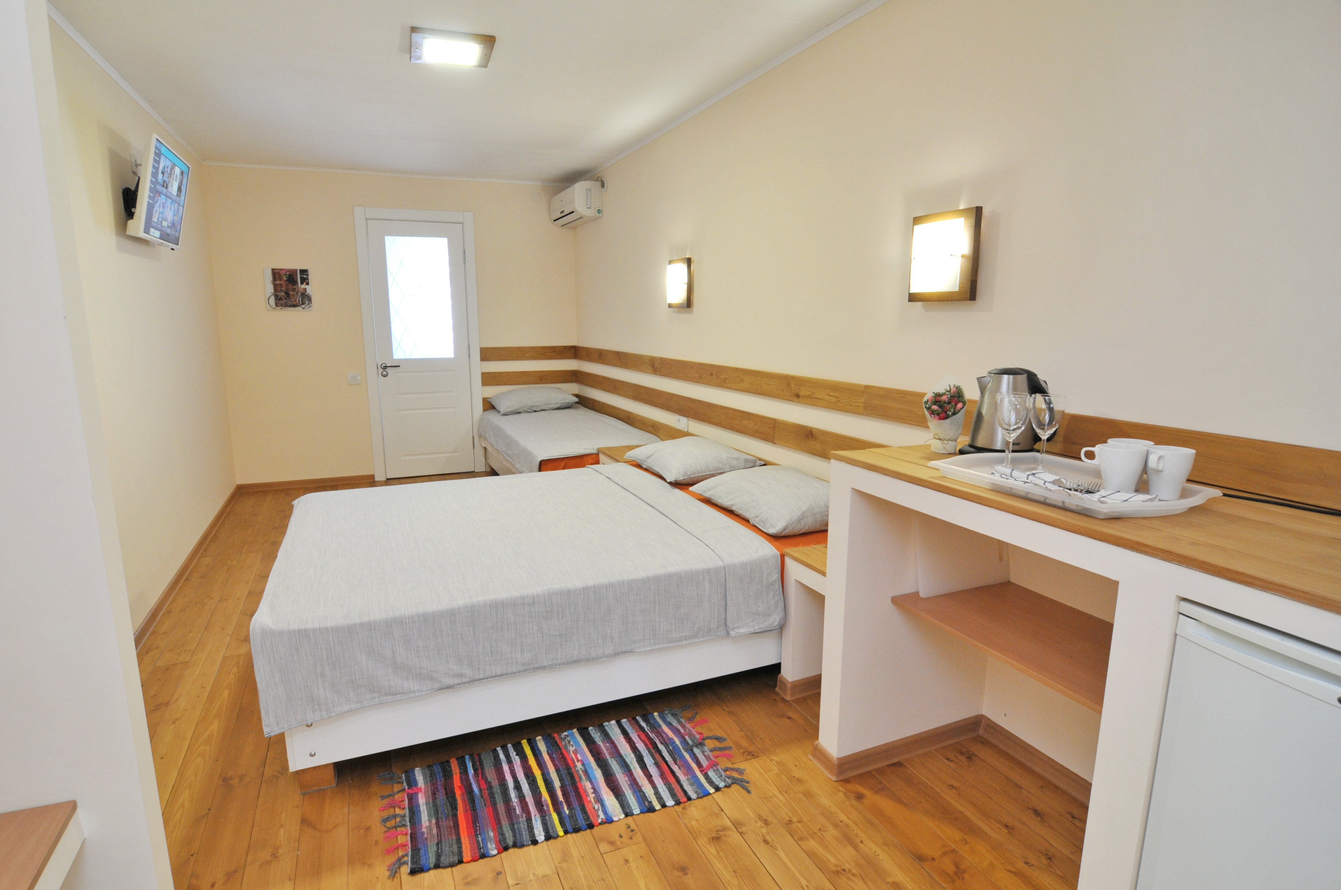 Фото Кактус