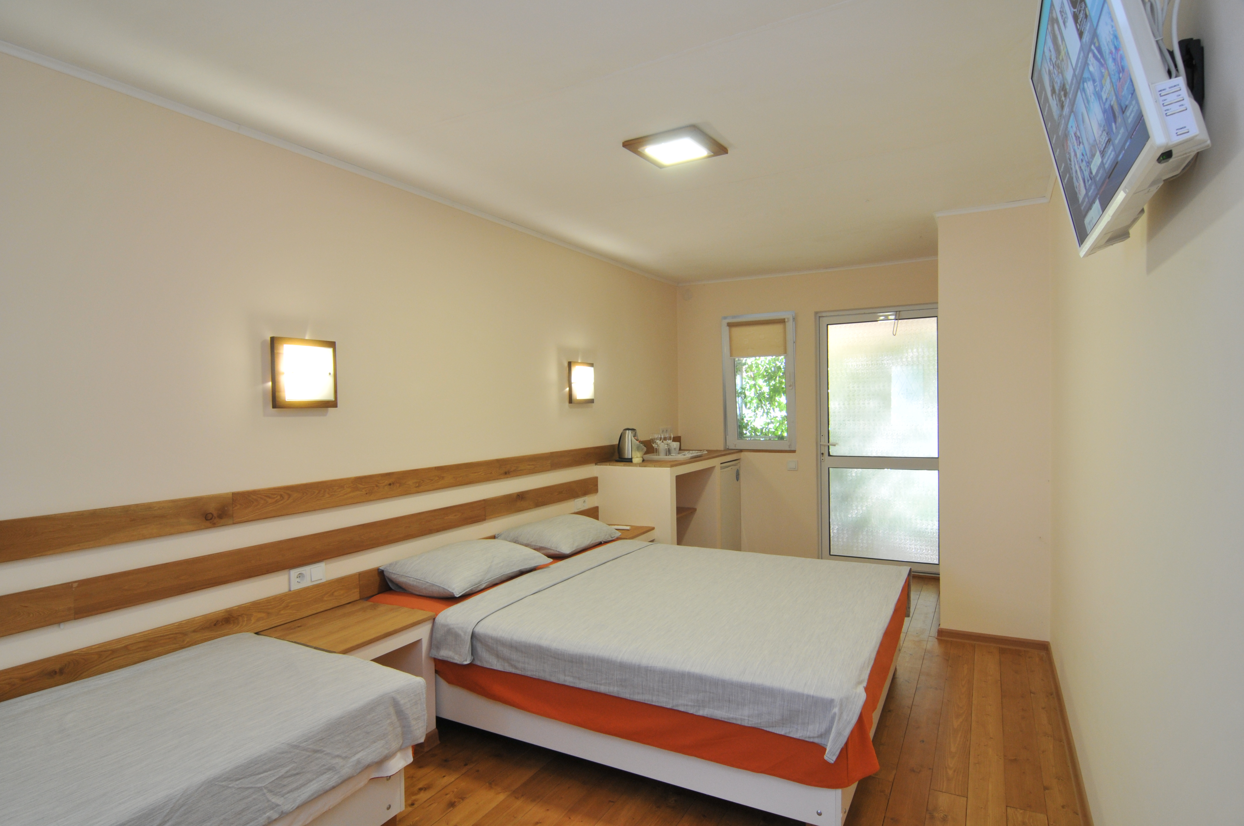 Фото Кактус