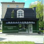 MegaFlowers (Челябинск, улица Энгельса), доставка цветов и букетов в Челябинске